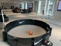 ESA Fast Feet Arena – Der Publikumsmagnet für Ihr Event! - Galerie - Bild 4