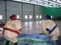 Sumoringen - Sumowrestling inkl.19% MwSt. - Galerie - Bild 4