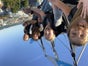 Airflight - Galerie - Bild 2