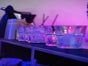 Mobile Cocktailbar Premium für Veranstaltungen und Messe - Galerie - Bild 2