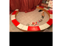 Zirkus Manege - Galerie - Bild 4
