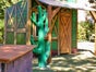 Kakteen - Kaktus - Galerie - Bild 2