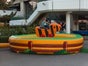 Rodeo Ente - Galerie - Bild 3