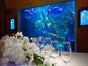 AquaDom & SEA LIFE Berlin - Galerie - Bild 4