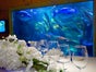 AquaDom & SEA LIFE Berlin - Galerie - Bild 4