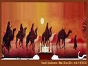 Kamel Karawanen - Kulisse, Nomade, Ägypten, Wüste