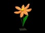 Riesenblumen, Blumen, Wiese, Kunstblumen, Blumenwiese - Galerie - Bild 3