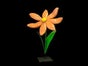 Riesenblumen, Blumen, Wiese, Kunstblumen, Blumenwiese - Galerie - Bild 3