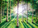 Wald Bühnenbild, Wald Kulisse, Waldlandschaft