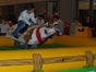 Rentierrodeo - das Bullriding zu Weihnachten inkl. 19% MwSt.! - Galerie - Bild 3
