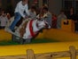 Rentierrodeo - das Bullriding zu Weihnachten inkl. 19% MwSt.! - Galerie - Bild 3