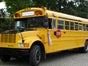 Londontaxi, US-Schulbus, Van, Stretchlimousine, Mietwagen, Oldtimerbus, Londonbus, Amerikanischer Schulbus, englischer Doppeldeckerbus, Busunternehmen, Cab - Galerie - Bild 4