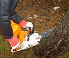 Kettensäge 50 cm Schwertlänge, Benzingemisch