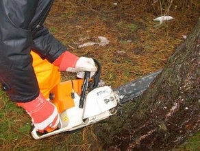 Kettensäge 50 cm Schwertlänge, Benzingemisch