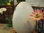 Knack das Osterei,  Eierspiel, Osteranimation, Ostern Spiele - Galerie - Bild 4