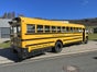 US Party Schoolbus Partybus Junggesellenenabschied für JGA Stripper Stripshow mieten Partybus Eventbus - Perfekt für Junggesellenenabschied - Galerie - Bild 3
