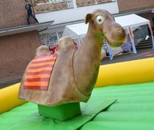 Kamelrodeo - Bullriding Variante inkl. 19% MwSt.