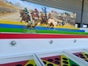 Kamelrennen als Eventattraktion mieten und buchen - Galerie - Bild 2
