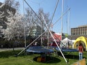 XXL Bungee Trampolin Anlage - Galerie - Bild 1