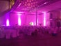 ExpoLite TourLED 42CM / 14x3in1W LED - Galerie - Bild 3