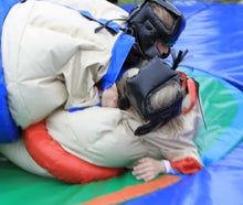Sumo Wrestling