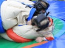 Sumo Wrestling