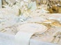 Silbernes Besteck glänzend mit Perlmutt Optik  mieten 1 Teil 0,60 ausleihen Besteck inSilber verleihen - Galerie - Bild 2