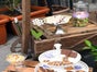 Candy Bar - Galerie - Bild 4