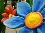 Leuchtende Blumen - Blumenwiese - Galerie - Bild 2