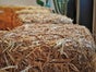 Strohballen Dummys, Herbst Dekoration, Erntefest - Galerie - Bild 3