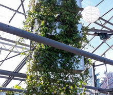 Hanging Garden Element