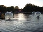 Wasserlaufbälle im Gewässer (2 Stk.) mieten - Galerie - Bild 3