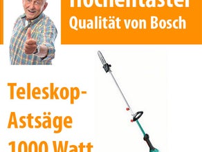 Baum Kettensäge
