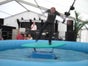 Surfsimulator / Surf Simulator / Simulator / Profigerät / Preis inkl. 19% Mwst. - Galerie - Bild 3