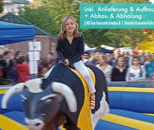 Bullriding / Rodeo