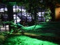 Krokodil Grotte, Grusel Party, Halloween Dekoration - Galerie - Bild 3