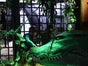 Krokodil Grotte, Grusel Party, Halloween Dekoration - Galerie - Bild 3