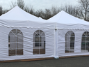 Mastertent Faltzelt 10 x 10m - Galerie - Bild 1