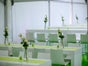 Diningtisch mit modernen weißen Stuhl, Brückentisch, White Modern Style, Stuhl und Tisch - Galerie - Bild 3