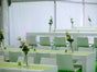 Diningtisch mit modernen weißen Stuhl, Brückentisch, White Modern Style, Stuhl und Tisch - Galerie - Bild 3