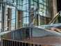 Rolls-Royce: Silver Spirit II  - mit Chauffeur - Galerie - Bild 4