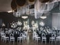 Chiavari mieten "Phönix" Stuhl weiß inkl. Sitzkissen, Tiffany Hochzeit- Stühle Verleih in 33647 Bielefeld - Galerie - Bild 2