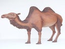 Kamel Figur, Wüste, Orient, Tier,