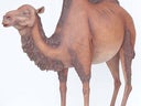 Kamel Figur, Wüste, Orient, Tier, - Galerie - Bild 1