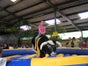 Bullriding / Rodeo - Galerie - Bild 4