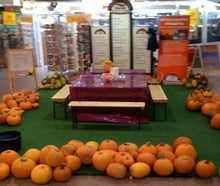 Halloween Kürbisse schnitzen inkl. 19% MwSt.