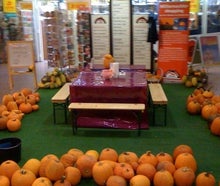 Halloween Kürbisse schnitzen inkl. 19% MwSt.