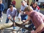 Baumstammsägen / Wettsägen - Galerie - Bild 2