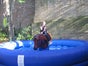Horse-Riding - Galerie - Bild 3