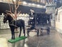 Bestattungskutsche, Leichenwagen, Beerdigungskutsche, Halloween Dekoration, Historische Kutsche - Galerie - Bild 2